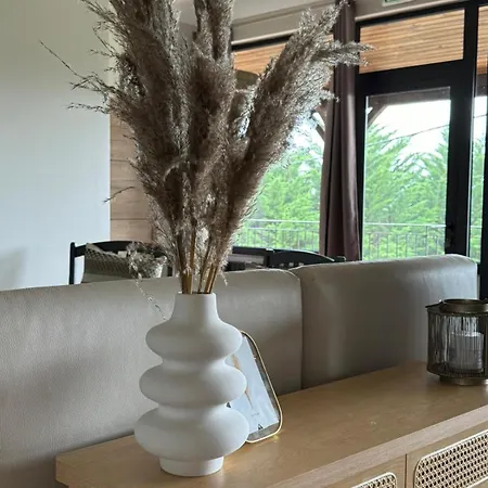 Appartement Les Hyacinthes 7
